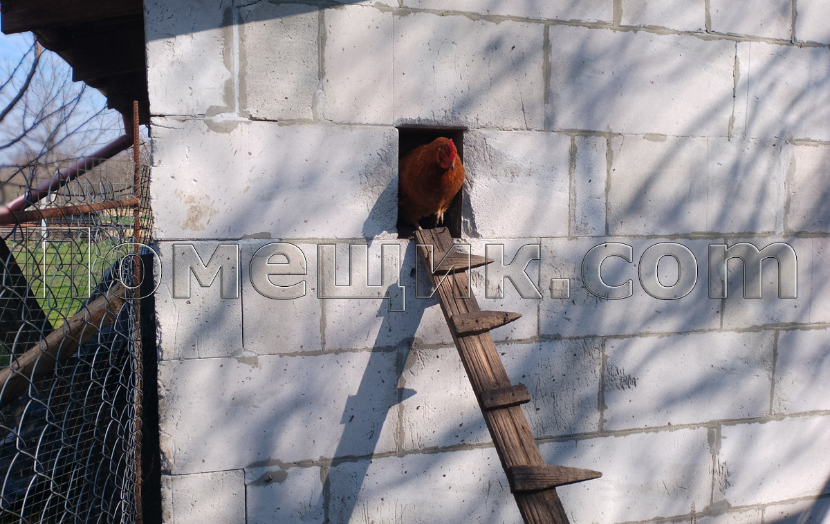 ����� � ������