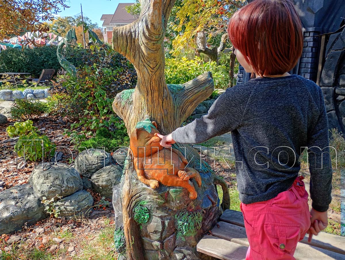 ���� ����� ��������. ���� ������