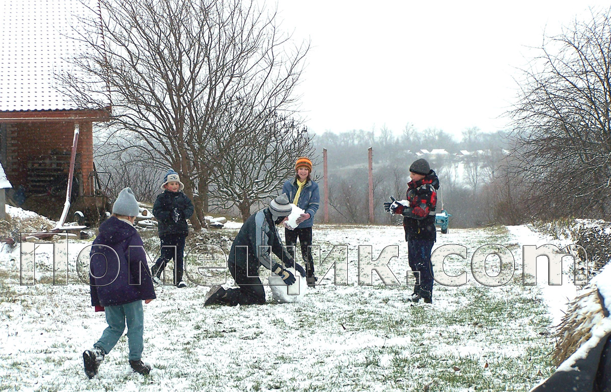 ���� 2025-2026