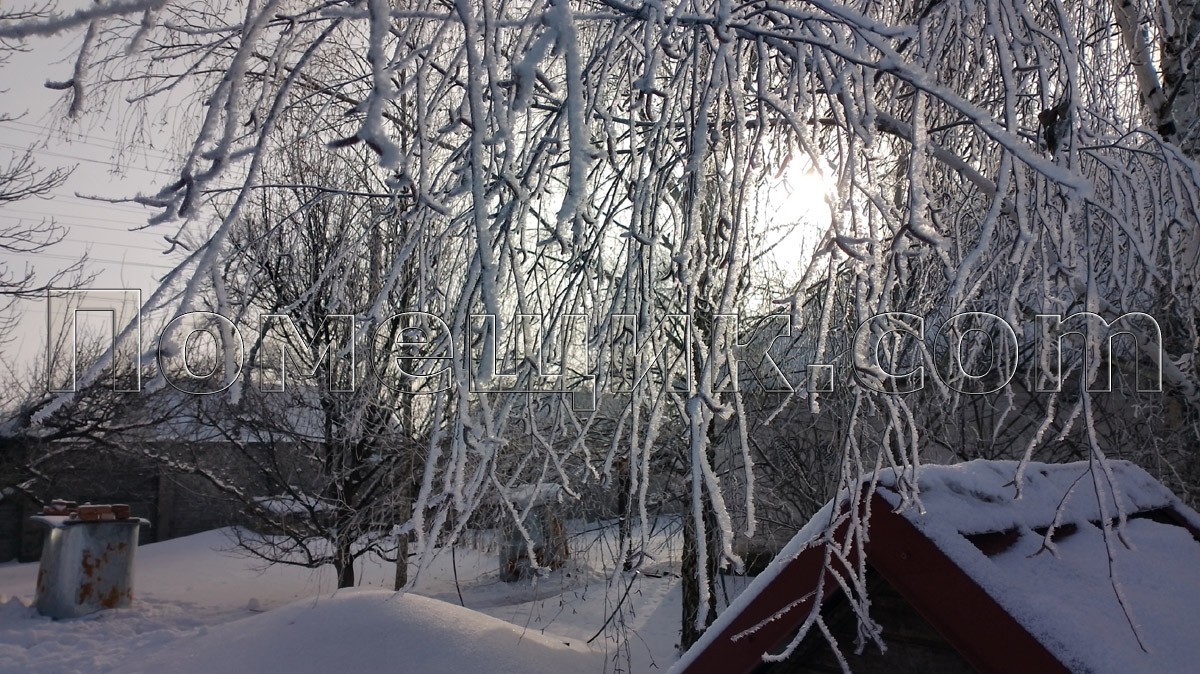 ���� 2025-2026