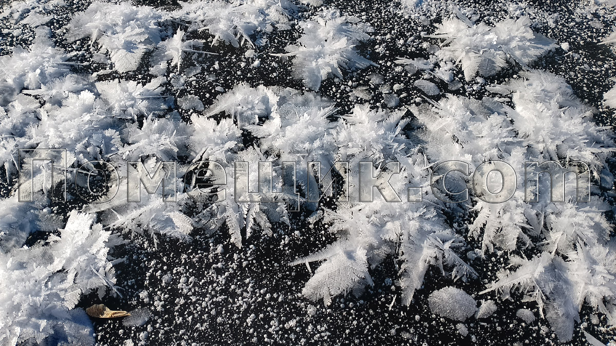 ���� 2025-2026